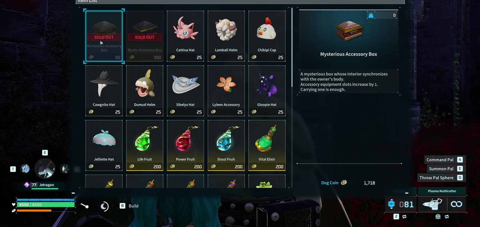The Dog Coin trader shop listing both accessory boxes