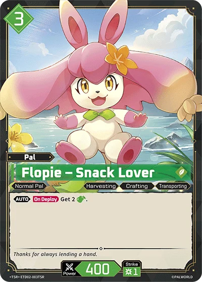 Flopie card